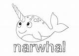 Narwhal sketch template