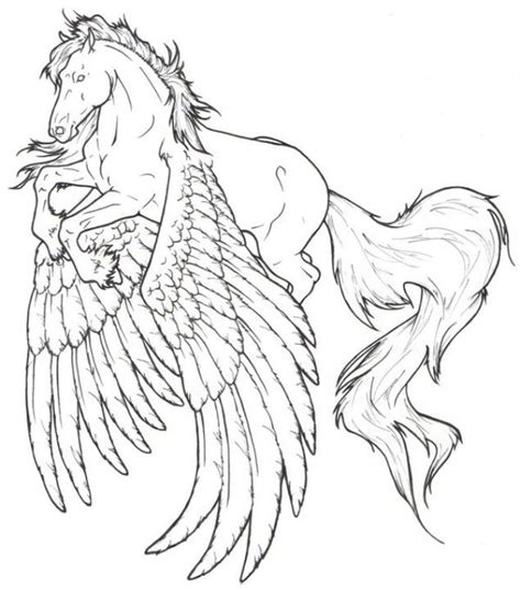pin  sharon taylor  coloring horse coloring pages horse coloring