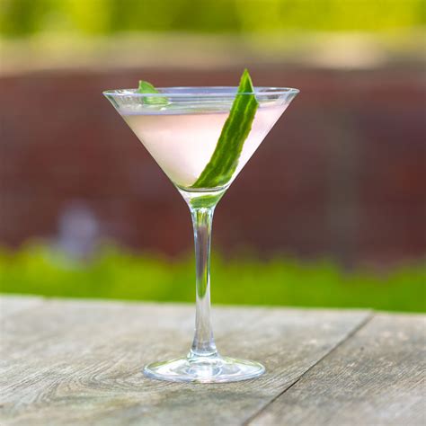 pink gin martini cocktail recipe  gin club