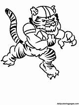 Coloring Pages Football Tiger Lsu Auburn Tigers Clemson Player Clipart Cartoon Head Clip Drawing Tasmanian Colouring Color Printable Cliparts Template sketch template