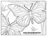 Butterfly Monarch Coloring Use Prohibited Educational Commercial Personal Printable Only sketch template