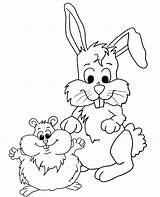 Coloring Hamster Rabbit Animals Topcoloringpages Pages Print sketch template