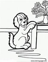 Coloring Table Dog Pages 676e Trying Puppies Printable Begging Puppy Color sketch template