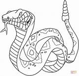 Rattlesnake Coloring Pages Angry Printable Snake Color Rattle sketch template
