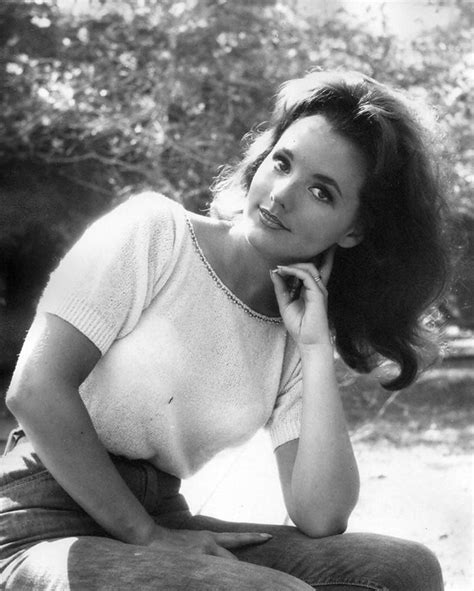 Dawn Wells Latest News Breaking Headlines And Top Stories Photos