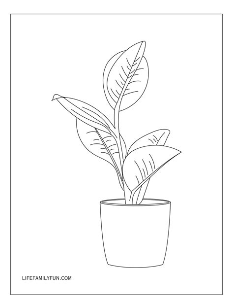 houseplant coloring pages  cultivate peace  prosperity