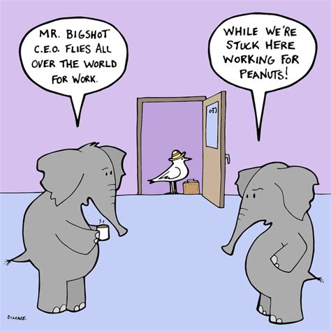 Elephant In The Room Cartoon Bestroom One