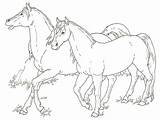 Cheval Galop sketch template