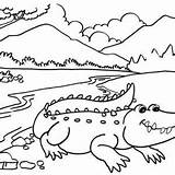 Crocodile Coloring Pages Scenery River Cartoon Nine Friendly Fun sketch template
