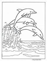 Dolphin Delfin Delphine Drei Zum Dolphins Ausmalen Colouring sketch template