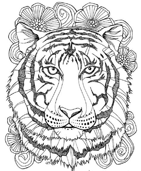 tiger coloring pages  adults check   httpcoloringareascom