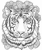 Coloring Tiger Pages Adult Adults Uploaded User Choose Board Printable sketch template