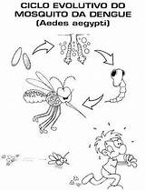 Dengue Mosquito Pintar Receber Aedes Novidades Cadastre sketch template