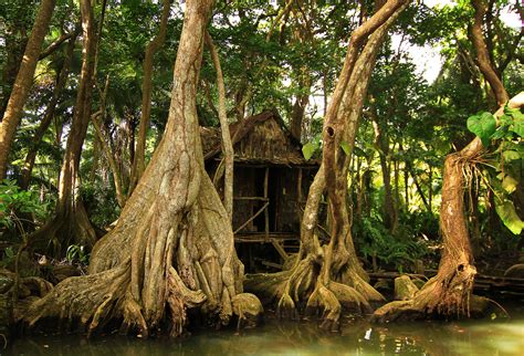 dominica travel caribbean lonely planet