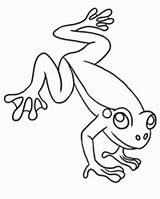 Coloring Frog Tree Pages Red Eyed Popular sketch template