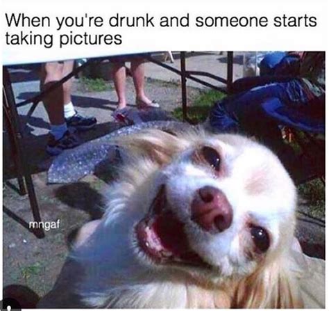 15 hilarious memes that totally describe you drunk thethings