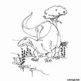 Dinosaure Imprimé Gratuit sketch template