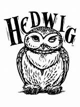 Hedwig Ausmalbilder Ausmalen Zeichnen sketch template