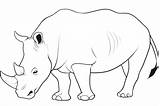 Rhino Coloring Rhinoceros Pages Drawing Animals Wild Animal Draw Colouring Color Cartoon Rhinos Drawings Print Kids Printable Line Sketch Easy sketch template