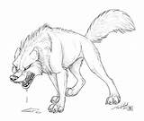 Wolf Angry Drawing Easy Sketch Head Snarling Outline Anger Human Drawings Tanidareal Sketches Getdrawings Deviantart Half Animal Face Wolves Choose sketch template
