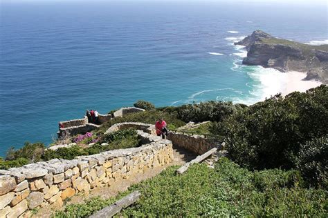 visit penguins  cape town    cape peninsula  cape point