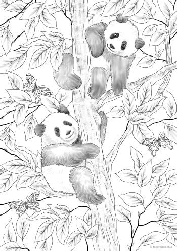 pandas favoreads coloring art club