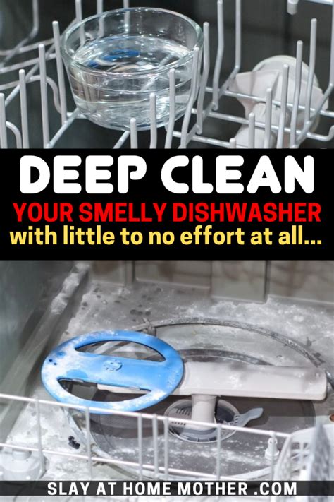 smelly dishwasher   cleaning hack cleaning  dishwasher