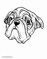 Pug Pugs Anjing sketch template