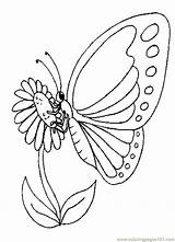 Butterfly Coloring Pages Butterflies Color Printable Kids Worksheets Insects Outlines Clipart Library Draw Drawings Gif Bees Popular sketch template