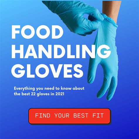 food handling gloves  top  updated