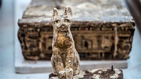 mummified lion cubs dating back 2 600 years discovered in incredible
