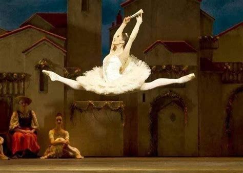 pin by sofia peralta on dance ballerina ballet beautiful