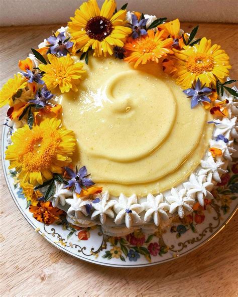 sandy  romero edible flowers  cakes   buy tips