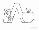 Ant Coloring Pages Kids Activity Activities sketch template