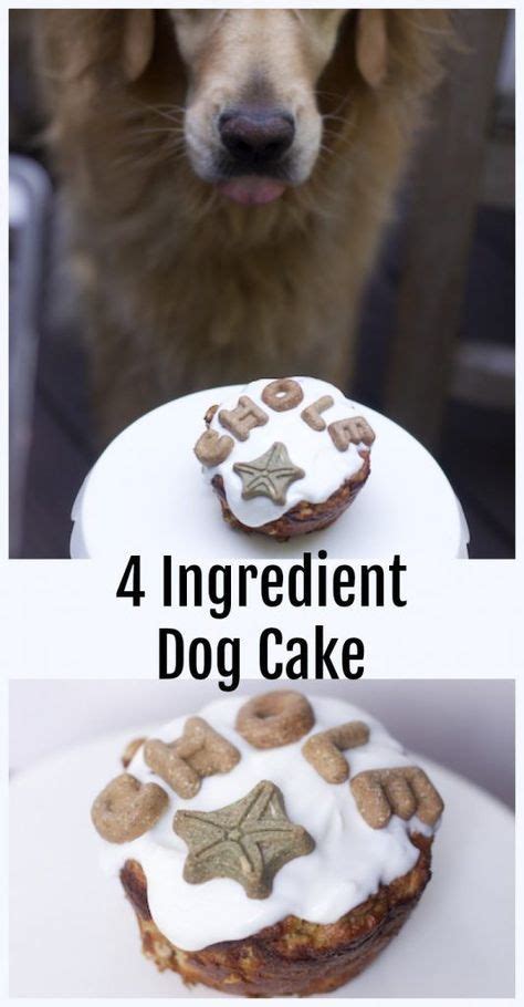heatlhy single dog cake recipe grain  dog cake recipe dog