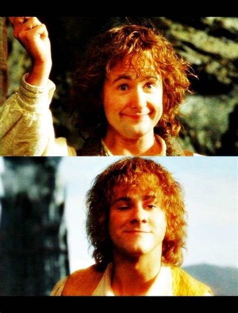 merry  pippin lord   rings  hobbit merry  pippin