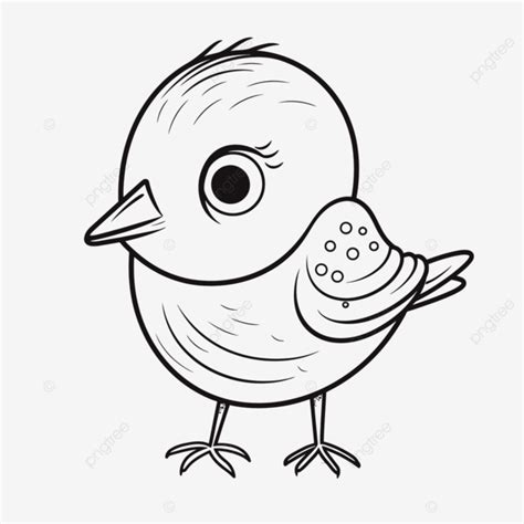 cute bird coloring pages outline sketch drawing vector colorful bird