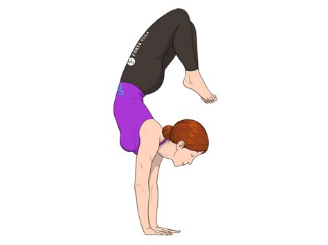 arm balance scorpion yoga pose forte yoga