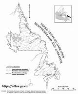 Map Newfoundland sketch template