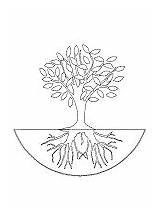Tree Printable Roots Coloring Pages Activities Ws School sketch template