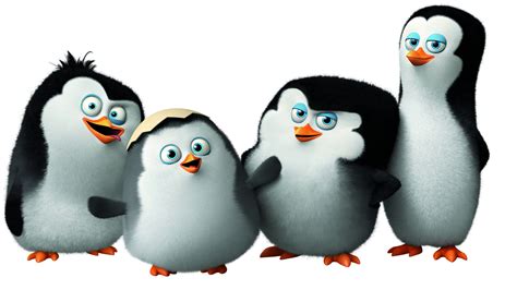 penguins  madagascar tracey wright