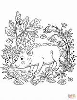 Coloring Forest Pages Wild Boar Animal Printable Animals Adult Supercoloring Color Sheets Getdrawings Fire Energy Colorings Getcolorings Nature Print sketch template