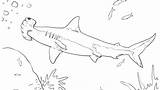 Coloring Pages Shark Goblin Jaws Getdrawings Android Getcolorings Printable Colorings sketch template