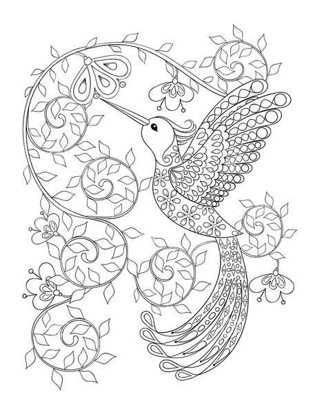 bird coloring pages  adults  getdrawings