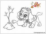 Patrol Paw Skye Pages Coloring Color Printable Kids Online Dog Para Colorir Canina Book Coloringpagesonly Patrulha Cartoons Desenhos Books Animal sketch template