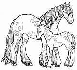 Cavalos Giovanna sketch template