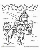 Coloring Dog Sled Pages Dogs Worksheets Sledding Snow Team Education Teamwork Winter Drawing Sheets Adult Color Colouring Iditarod Husky Pattern sketch template