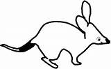 Bilby Coloring Pages Australia Clip Animal sketch template