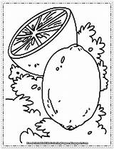 Orange Coloring Pages Printable Fruit Oranges Colouring Library Insertion Codes sketch template