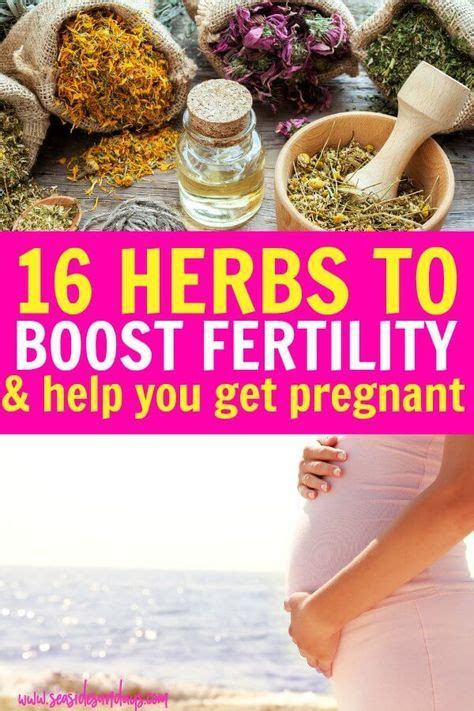 16 fertility herbs to help you get pregnant fast herbs for fertility